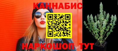 ECSTASY Лесосибирск