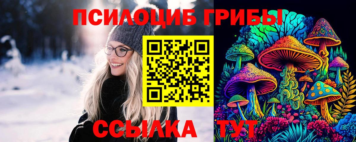 Псилоцибиновые грибы прущие грибы  Вход с VPN  Красноармейск 